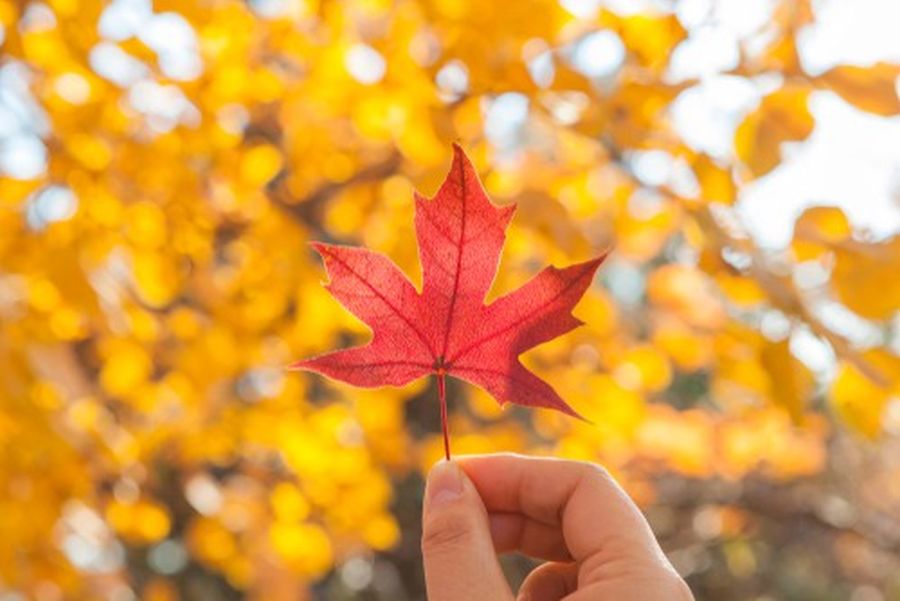 Getting You & Your Business to the Top of the Game