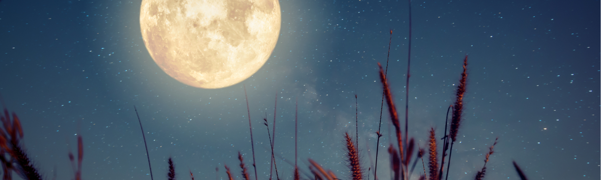 The Cycle of Resilience