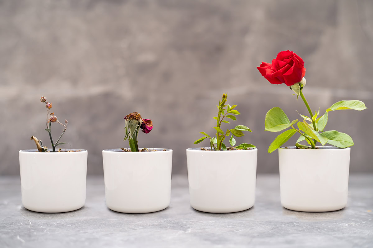 My Top 5 Leadership Lessons from Failures